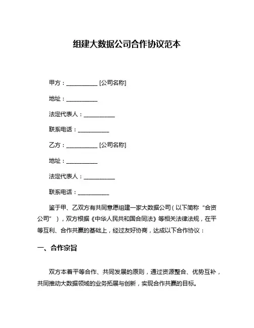 组建大数据公司合作协议范本