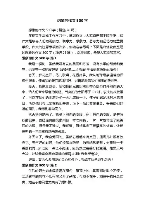 想象的作文500字