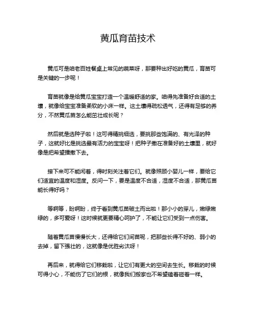 黄瓜育苗技术