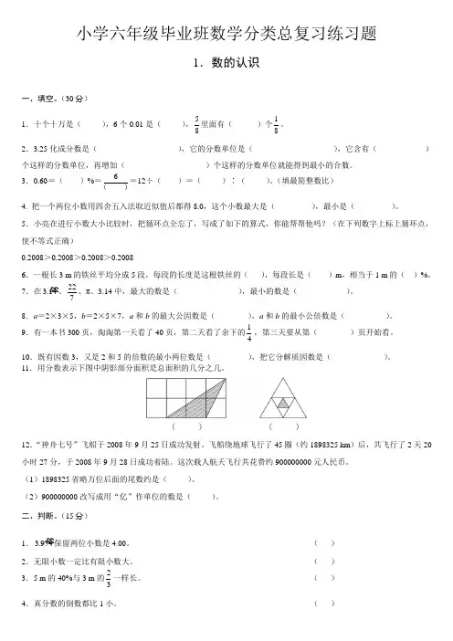 小学六年级毕业班数学分类总复习练习题