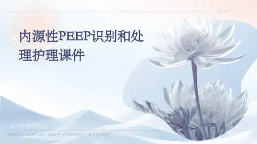 内源性peep识别和处理护理课件