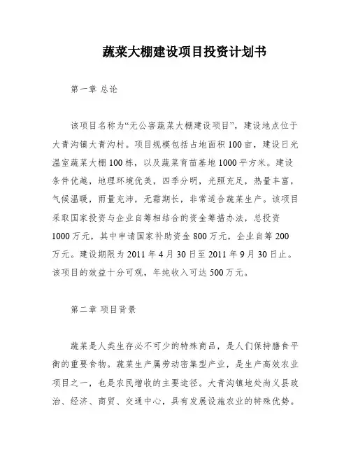 蔬菜大棚建设项目投资计划书