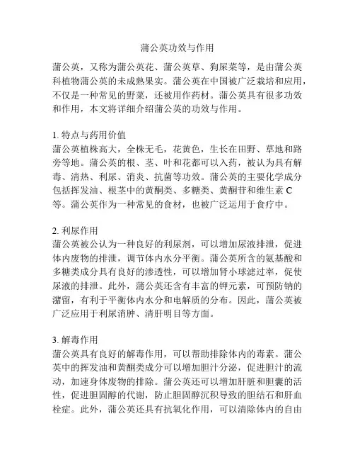 蒲公英功效与作用