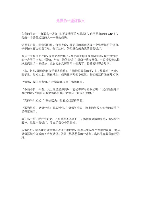 是我的一盏灯作文
