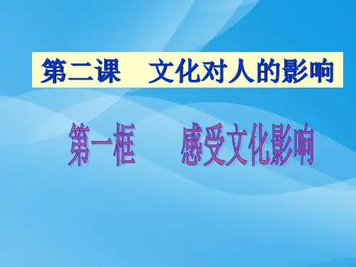 感受文化的影响PPT课件5 人教版