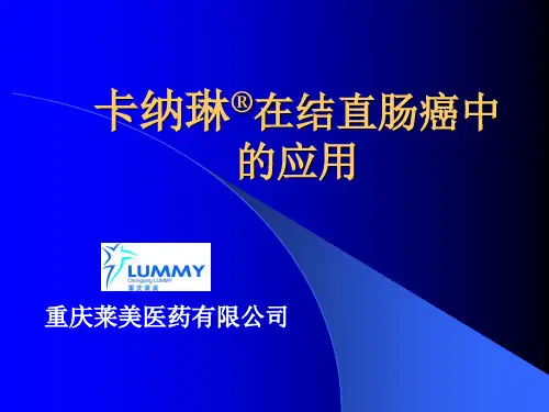 卡纳琳纳米碳混悬注射液幻灯结直肠癌