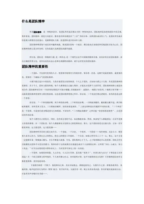 什么是团队精神