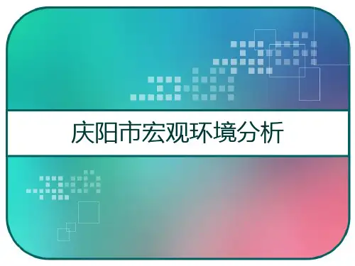 庆阳市宏观环境分析 PPT