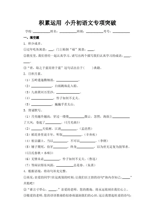 部编版小学语文积累运用小升初语文专项突破题集