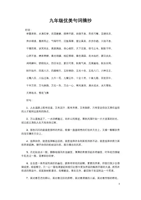 好词好句九年级语文摘抄