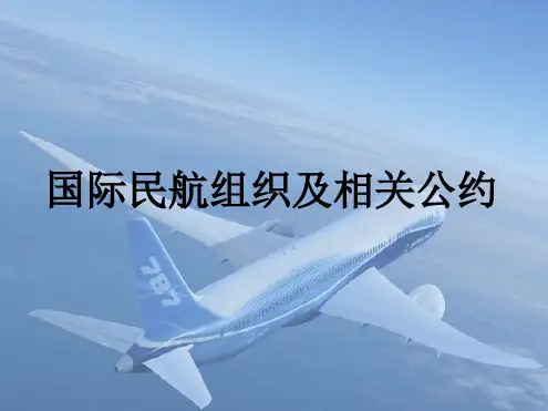 国际民航组织及相关公约