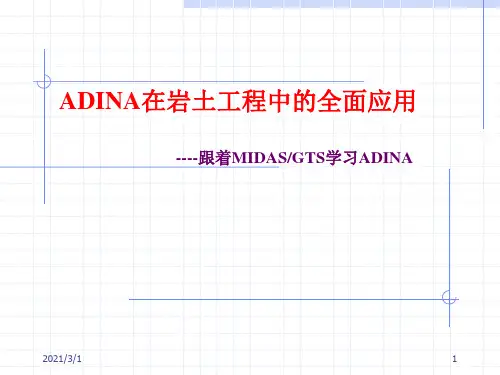 ADINA在岩土工程中的全面应用--237页