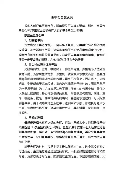 家里金鱼怎么养