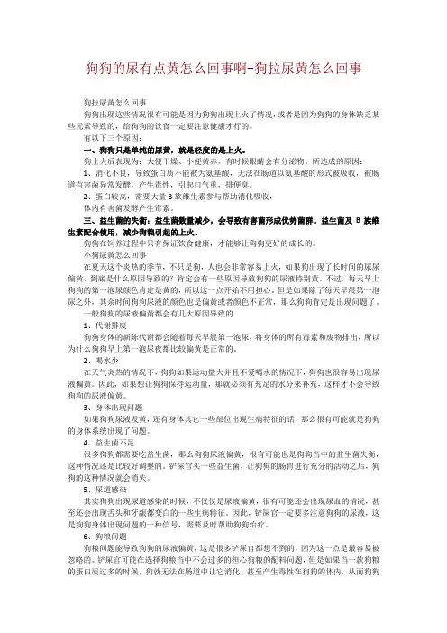 狗狗的尿有点黄怎么回事啊-狗拉尿黄怎么回事
