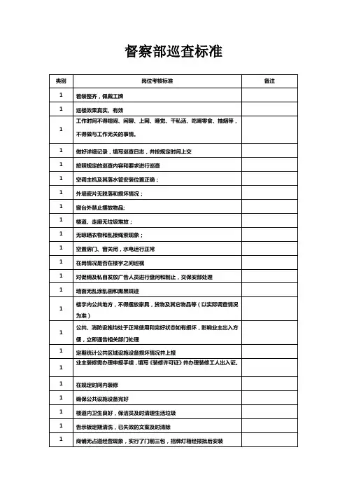 督察部巡查标准