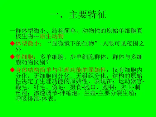 第三章原生动物门讲义