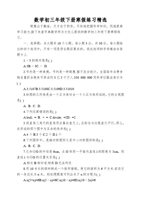 数学初三年级下册寒假练习精选