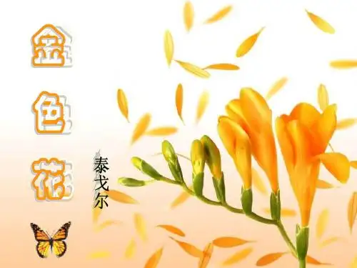 七年级语文上册《金色花》课件人教版