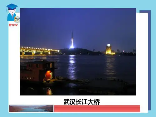 11第二节   以河流为生命线的地区――长江沿江地带PPT课件