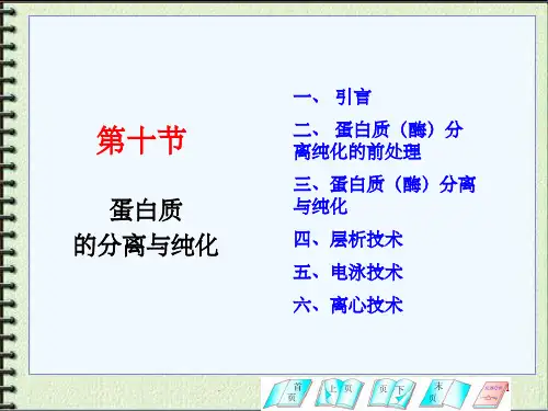 蛋白质分离技术全
