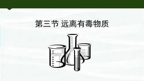鲁教版九年级化学下册 远离有毒物质 化学与健康新课件