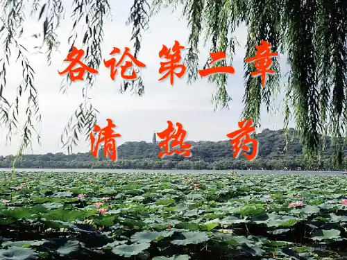 第二章清热药