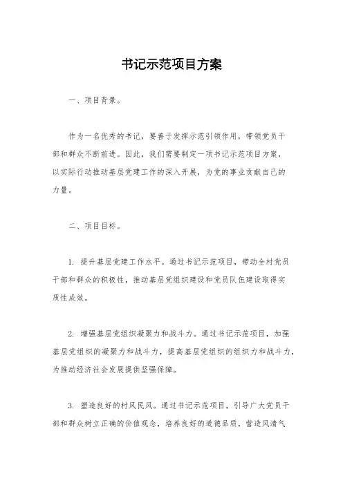 书记示范项目方案