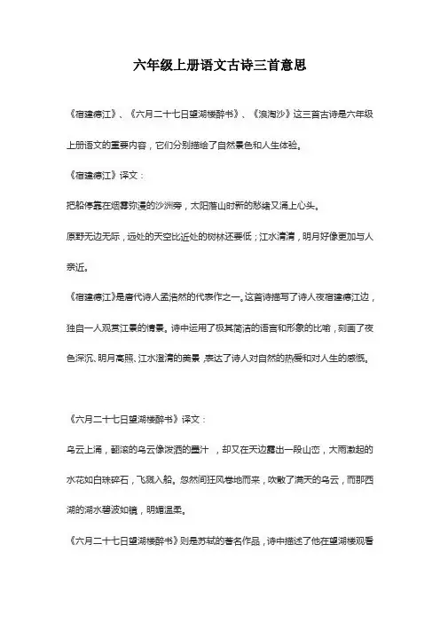六年级上册语文古诗三首意思
