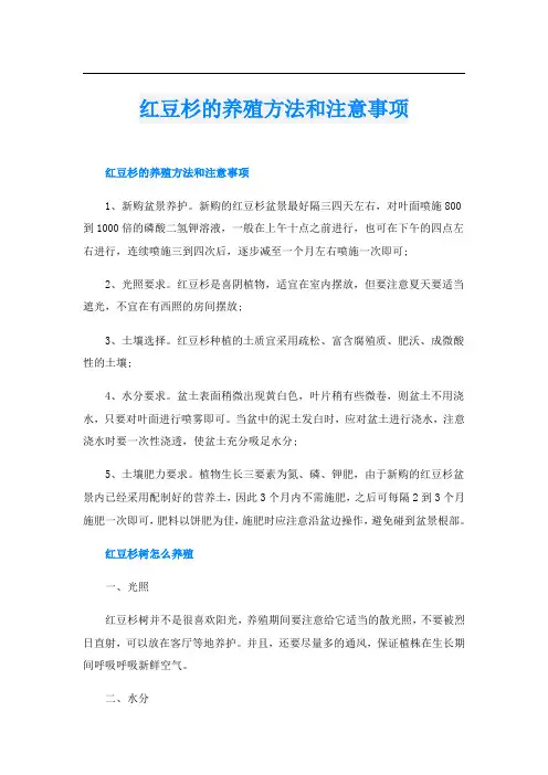 红豆杉的养殖方法和注意事项