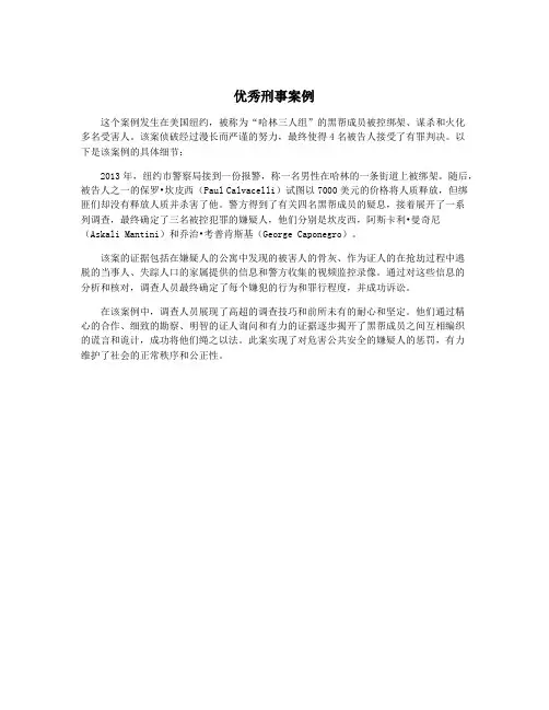 优秀刑事案例