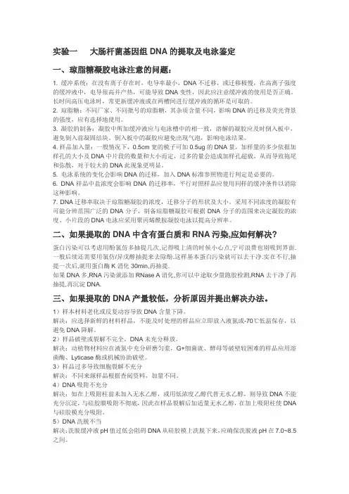基因工程实验