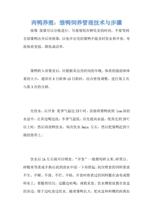 肉鸭养殖：雏鸭饲养管理技术与步骤