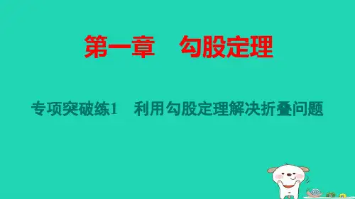 陕西省八年级数学上册第1章专项突破练1利用勾股定理解决折叠问题pptx课件新版北师大版