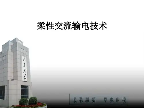 有源电力滤波器