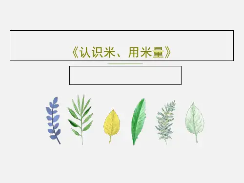 《认识米、用米量》22页PPT
