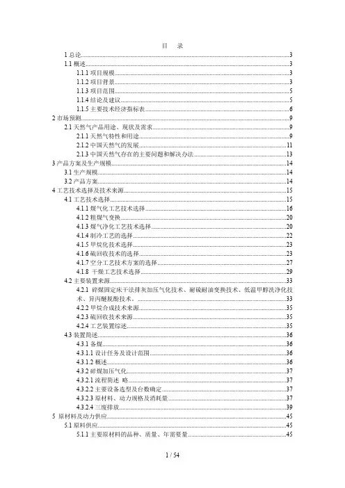 煤化工煤制气可研报告