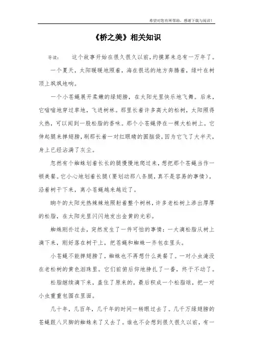 《桥之美》相关知识_1
