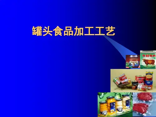 罐头食品加工工艺
