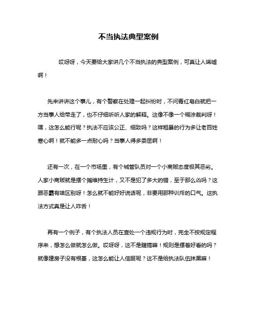 不当执法典型案例