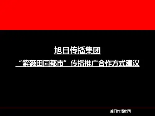 【管理精品】合作建议PPT课件