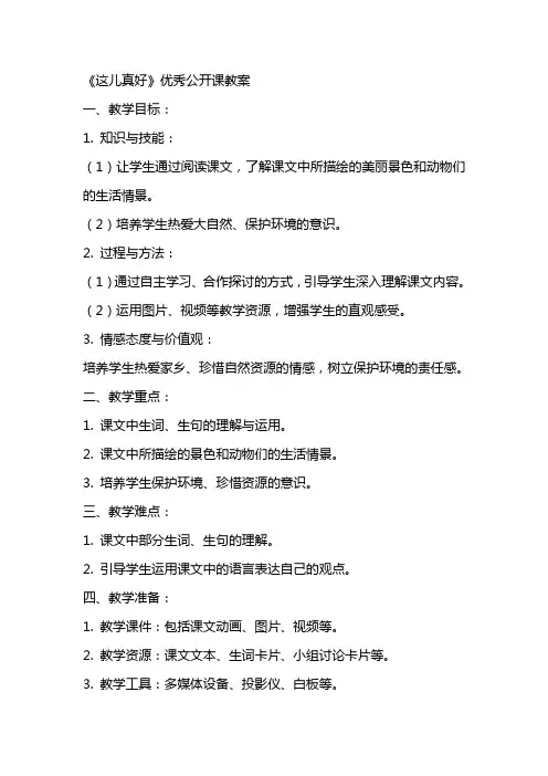 《这儿真好》公开课教案