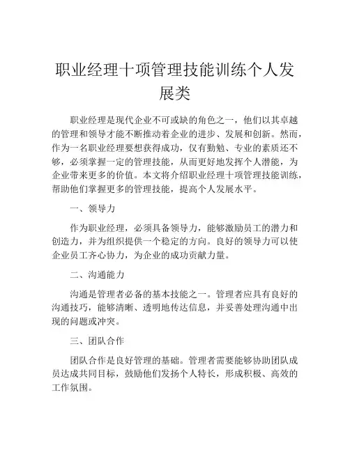 职业经理十项管理技能训练个人发展类