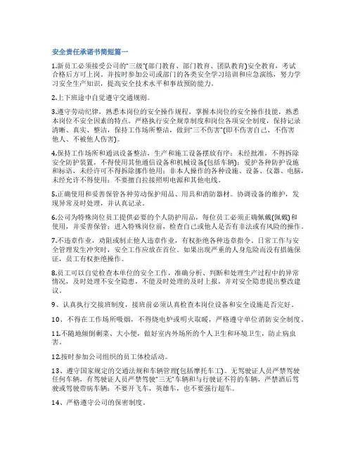 2023年安全责任承诺书简短大全(14篇)
