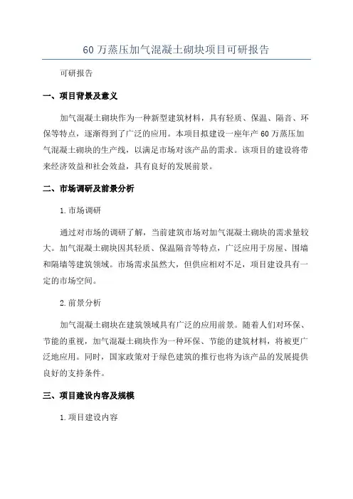 60万蒸压加气混凝土砌块项目可研报告