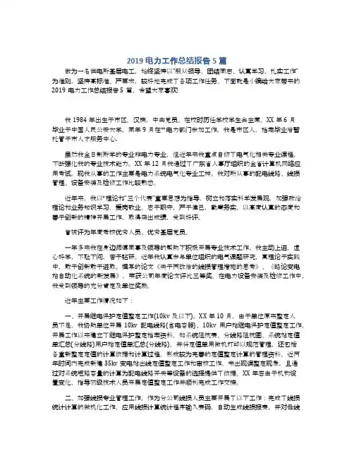 2019电力工作总结报告5篇