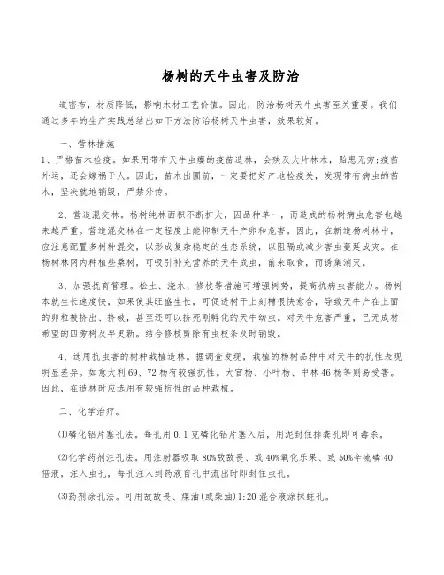 杨树的天牛虫害及防治