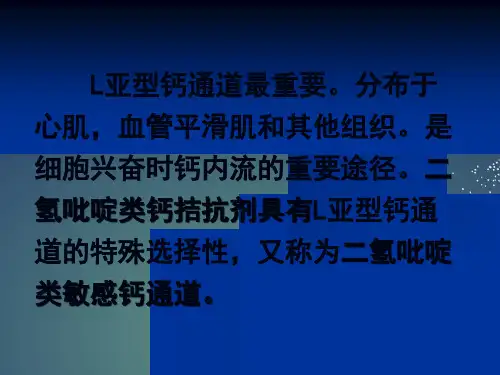 钙通道阻滞剂CalciumAntagonistsCaA.ppt