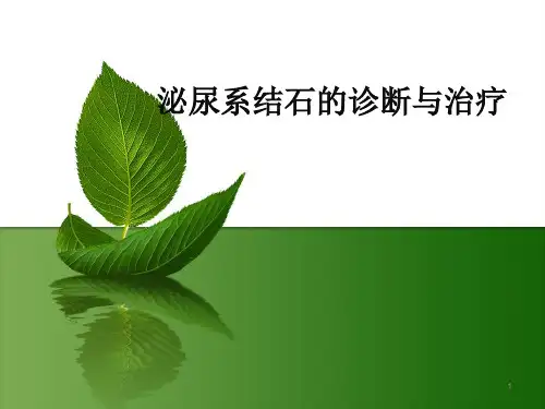 (推荐课件)泌尿系结石的诊断及治疗PPT幻灯片