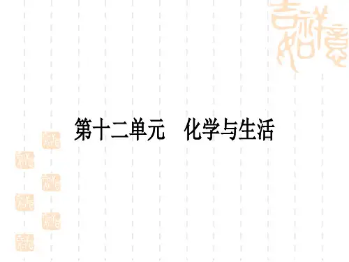 中考化学精炼本 第一部分 考点过关练 第十二单元 化学与生活