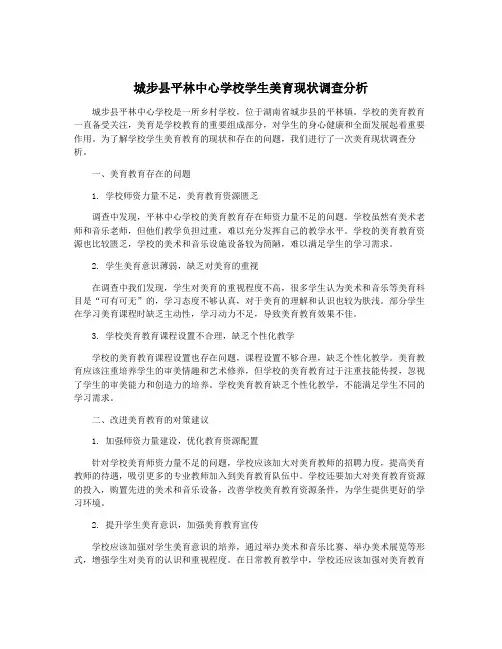 城步县平林中心学校学生美育现状调查分析